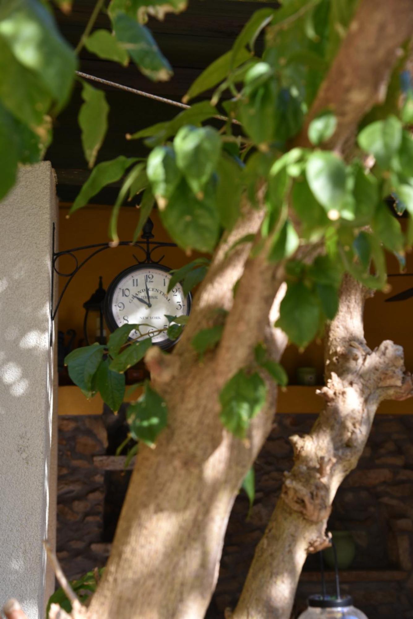 House Justina Villa Zadar Ngoại thất bức ảnh